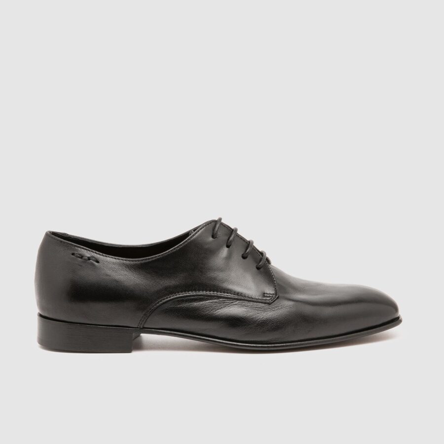 Laced Shoe